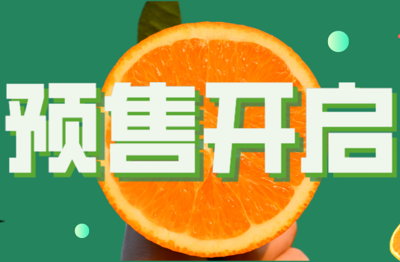 璞实有机脐橙预售全面开启，优惠不断，预购从速！！